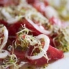 Salata de rosii cu germeni de trifoi