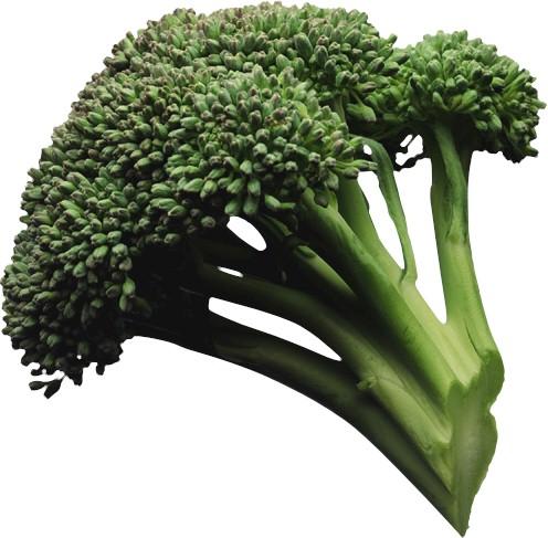 Brocoli brocoli | delicioasa.com