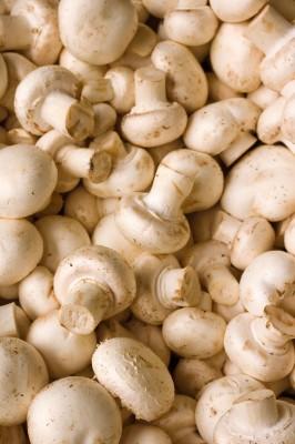 ciuperci champignon ciuperci champignon | delicioasa.com