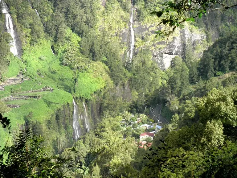 salazie-voile-mariee1 salazie voile mariee1 | delicioasa.com