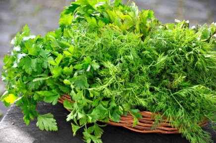 cosul bio (2 of 7) cosul bio 2 of 7 | delicioasa.com