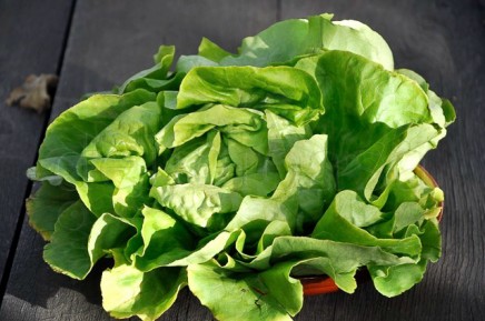 cosul bio (3 of 7) cosul bio 3 of 7 | delicioasa.com