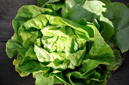 cosul bio (4 of 7) cosul bio 4 of 7 | delicioasa.com