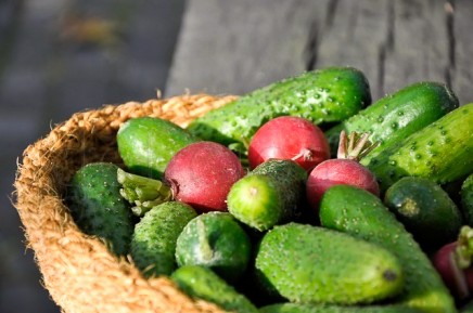 cosul bio (5 of 7) cosul bio 5 of 7 | delicioasa.com