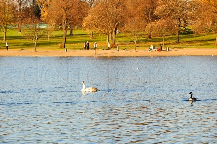 _DSC0983.JPG londra 35 of 6 | delicioasa.com