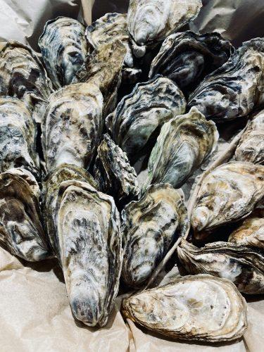 stridii - Photo Tasha Kostyuk - unsplashed Descoperă fructele de mare: beneficii și cum se gătesc