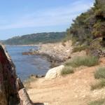 The wild beauty of Saint Tropez 12 | delicioasa.com | delicioasa.com