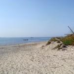 The wild beauty of Saint Tropez 3 | delicioasa.com | delicioasa.com