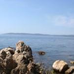 The wild beauty of Saint Tropez 10 | delicioasa.com | delicioasa.com