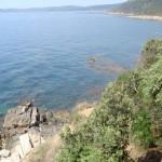 The wild beauty of Saint Tropez 11 | delicioasa.com | delicioasa.com