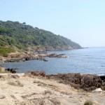 The wild beauty of Saint Tropez 2 | delicioasa.com | delicioasa.com