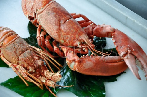 Istanbul 1 of 133 | delicioasa.com