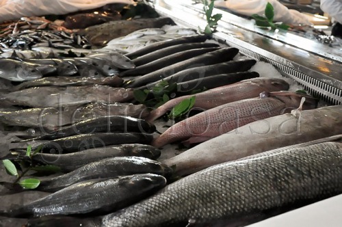 Istanbul 104 of 133 1 | delicioasa.com