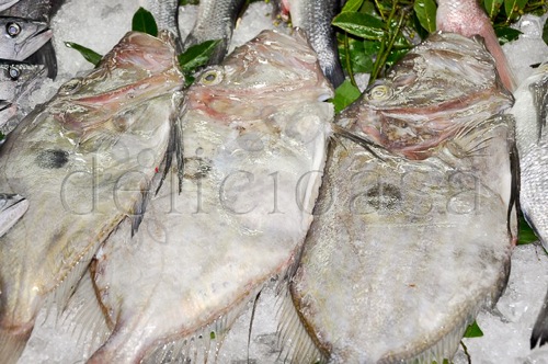 Istanbul 107 of 133 1 | delicioasa.com