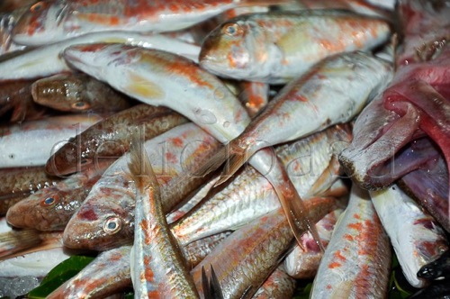 Istanbul 109 of 133 1 | delicioasa.com