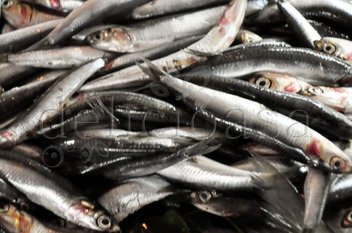 Istanbul 110 of 133 1 | delicioasa.com