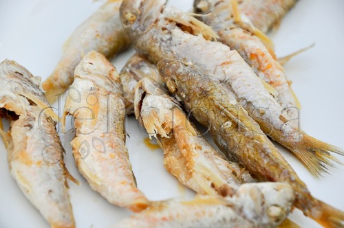 Istanbul 118 of 133 1 | delicioasa.com