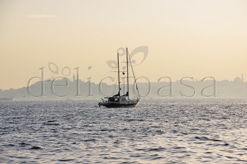 Istanbul 128 of 133 1 | delicioasa.com