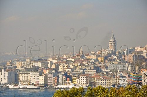 Istanbul 201 of 3 1 | delicioasa.com