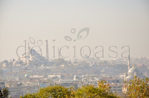 Istanbul 202 of 3 1 | delicioasa.com