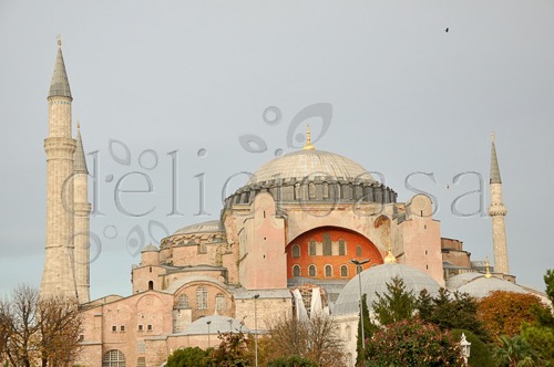 Istanbul 22 of 133 1 | delicioasa.com