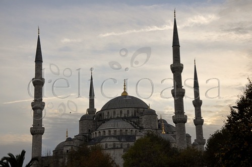 Istanbul 27 of 133 1 | delicioasa.com