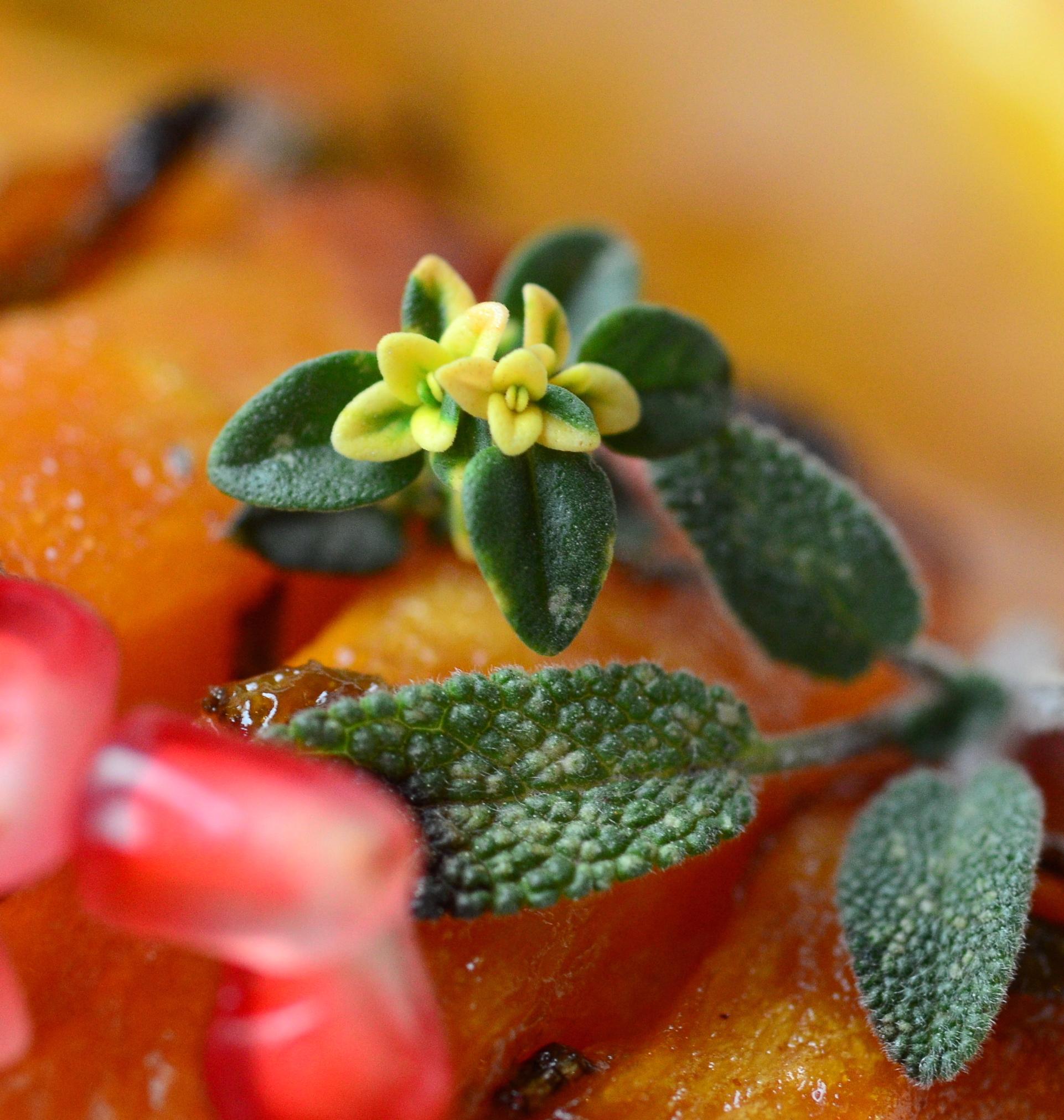 Dovleac copt, glazurat cu miere, mustar de Dijon si plante aromatice