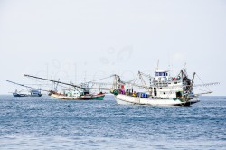 Delicioasa 3 | delicioasa.com | delicioasa.com