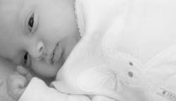 Delicioasa 12 | delicioasa.com | delicioasa.com