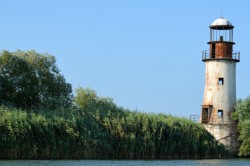 Delicioasa 6 | delicioasa.com | delicioasa.com