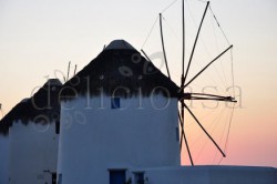 Delicioasa 9 | delicioasa.com | delicioasa.com