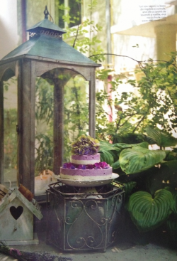 Delicioasa 19 | delicioasa.com | delicioasa.com