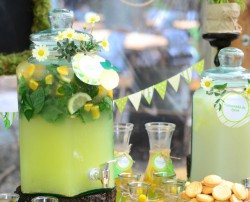 Delicioasa 18 | delicioasa.com | delicioasa.com